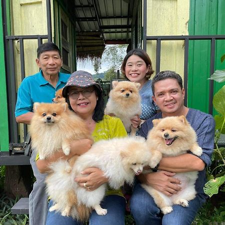 Doi Sang Farm Stay - ดอยซางฟาร์มสเตย์ Wiang Sa Exterior foto